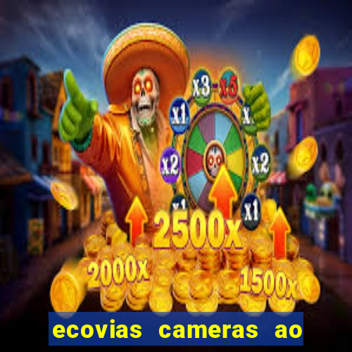 ecovias cameras ao vivo santos