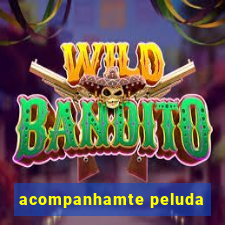 acompanhamte peluda