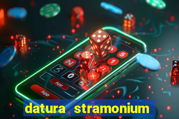 datura stramonium medicinal uses