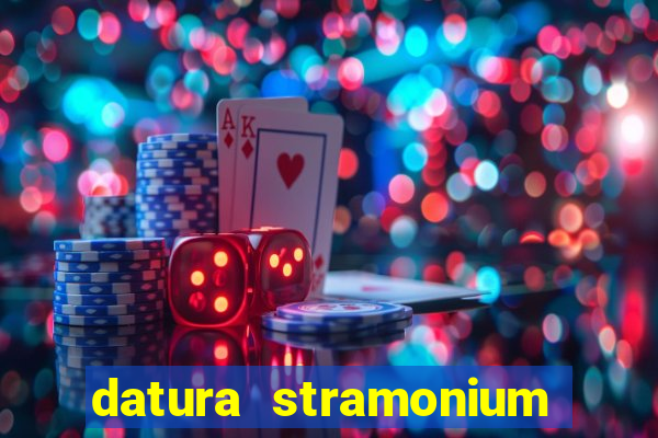 datura stramonium medicinal uses
