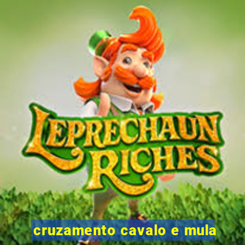 cruzamento cavalo e mula
