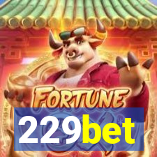 229bet