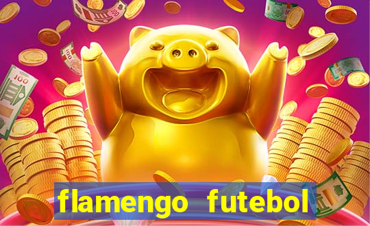 flamengo futebol play hd