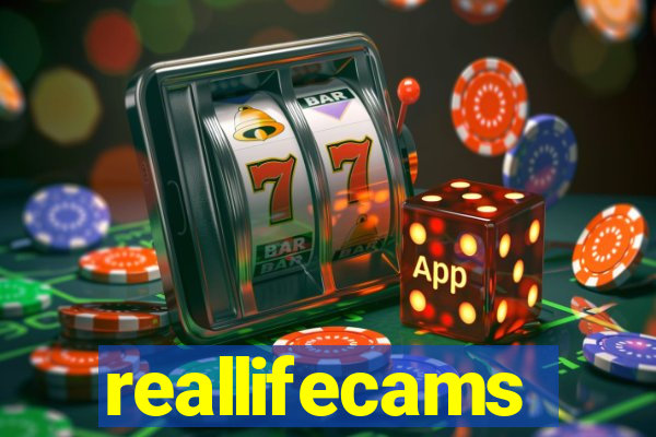 reallifecams