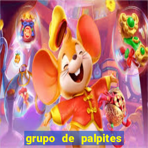 grupo de palpites de futebol telegram