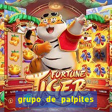 grupo de palpites de futebol telegram
