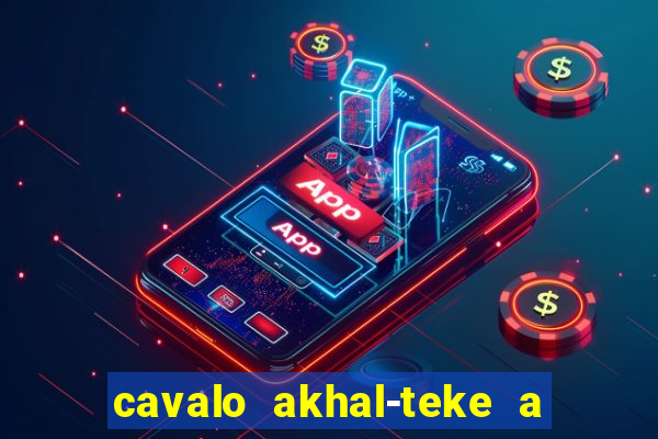 cavalo akhal-teke a venda no brasil cavalo akhal teke no