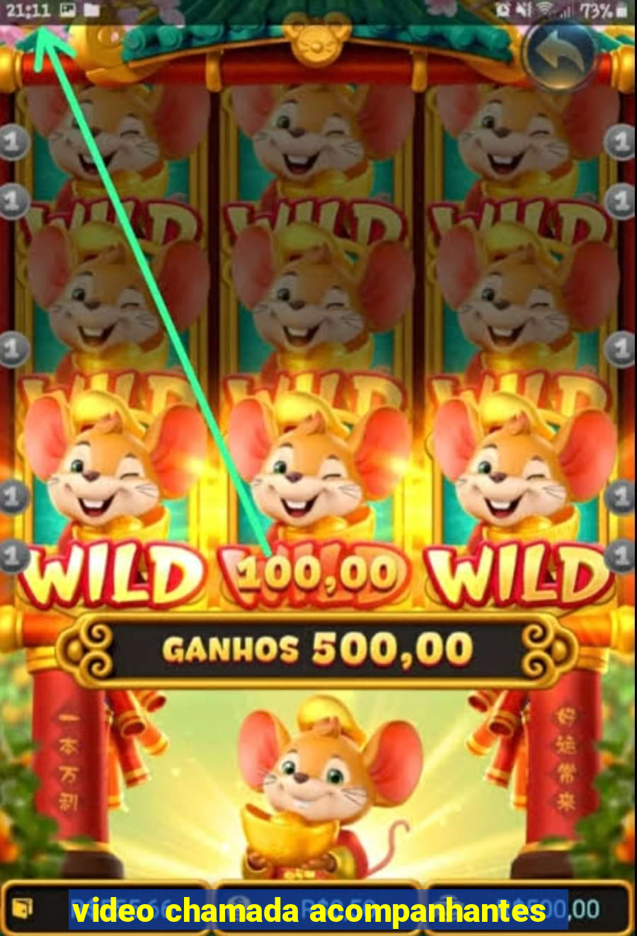 video chamada acompanhantes