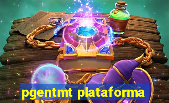 pgentmt plataforma