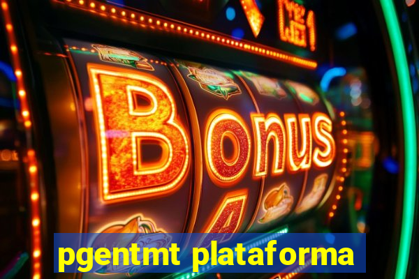 pgentmt plataforma
