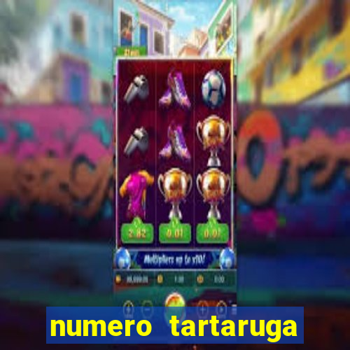 numero tartaruga jogo do bicho
