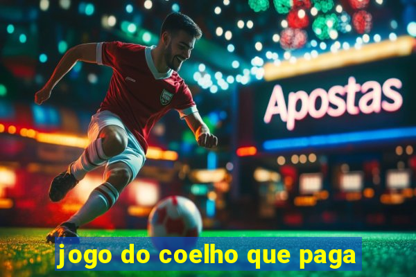 jogo do coelho que paga