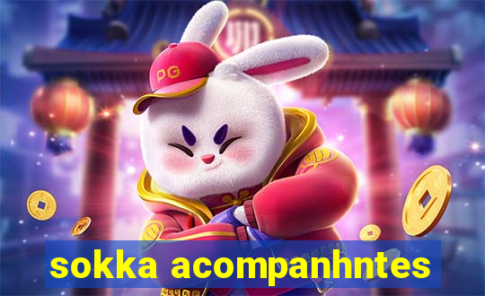 sokka acompanhntes