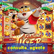consulta agente autuador sp