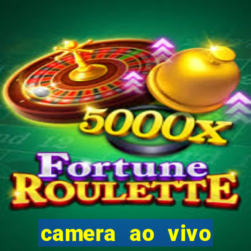 camera ao vivo praia do forte bahia