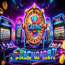 a puxada da cobra no jogo do bicho