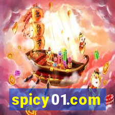 spicy01.com