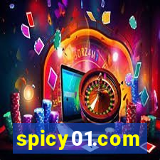 spicy01.com
