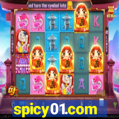 spicy01.com