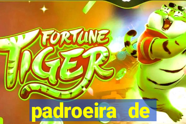 padroeira de cruzeiro sp