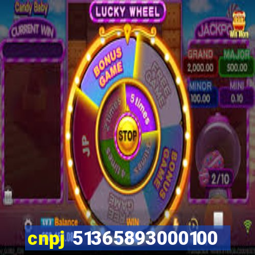 cnpj 51365893000100
