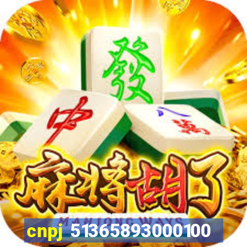 cnpj 51365893000100