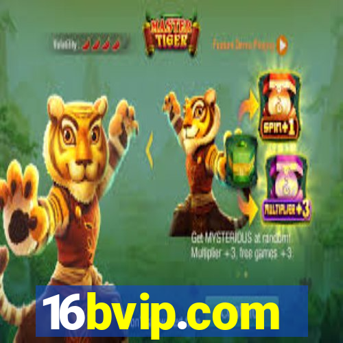 16bvip.com