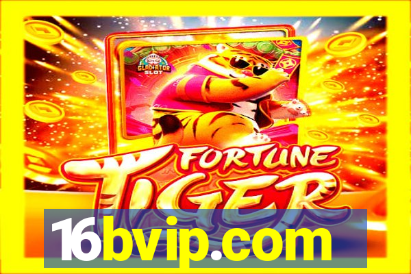 16bvip.com