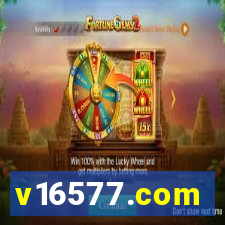 v16577.com