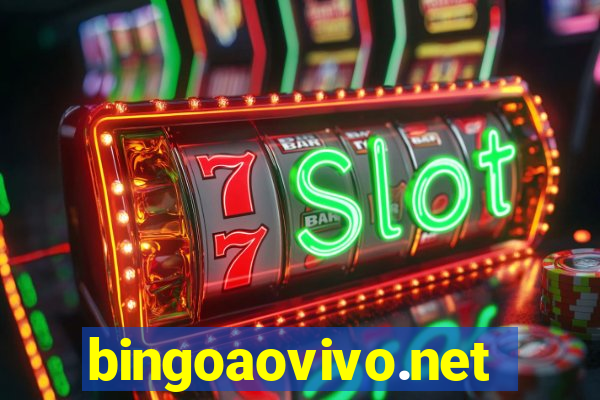 bingoaovivo.net