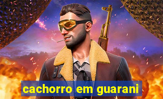 cachorro em guarani