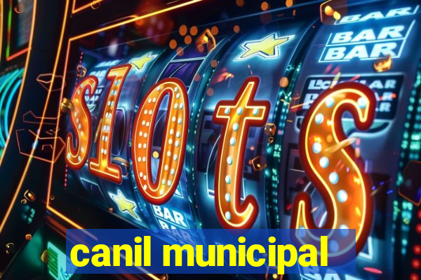 canil municipal