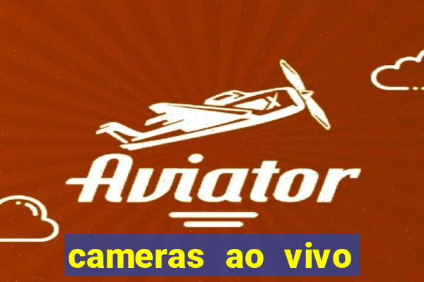 cameras ao vivo beto carrero
