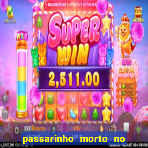 passarinho morto no quintal significado espiritual
