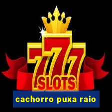 cachorro puxa raio