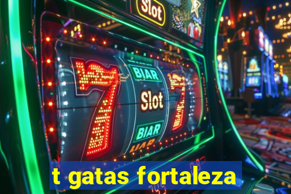 t gatas fortaleza