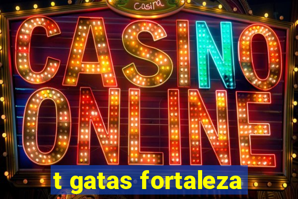t gatas fortaleza