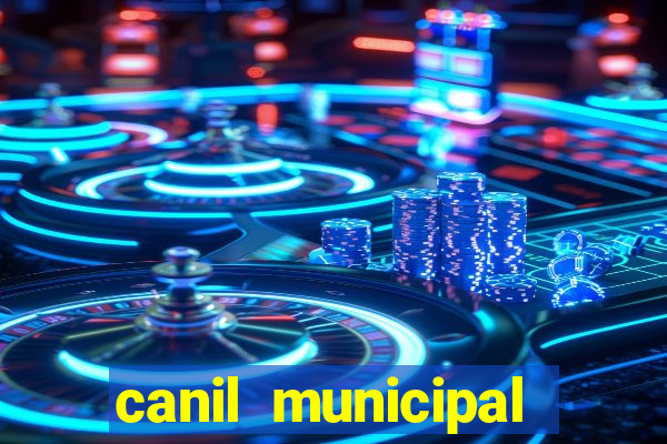 canil municipal porto alegre