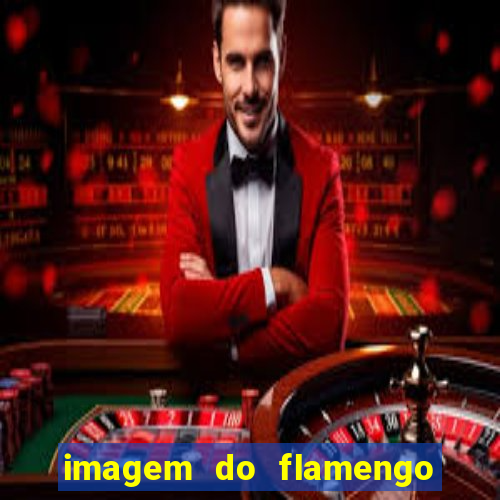 imagem do flamengo para perfil
