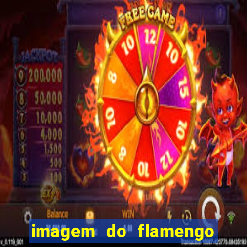 imagem do flamengo para perfil