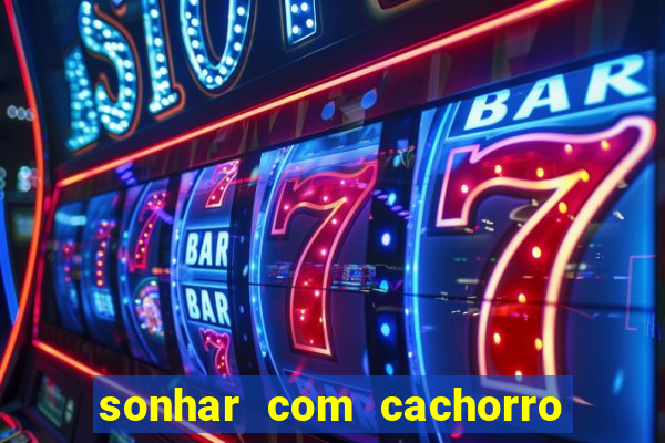 sonhar com cachorro morto jogo do bicho