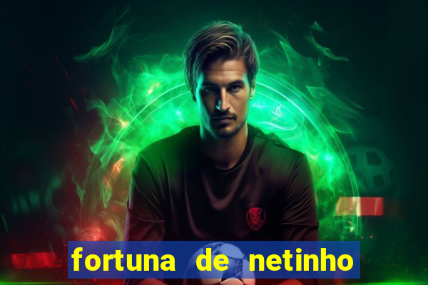 fortuna de netinho de paula
