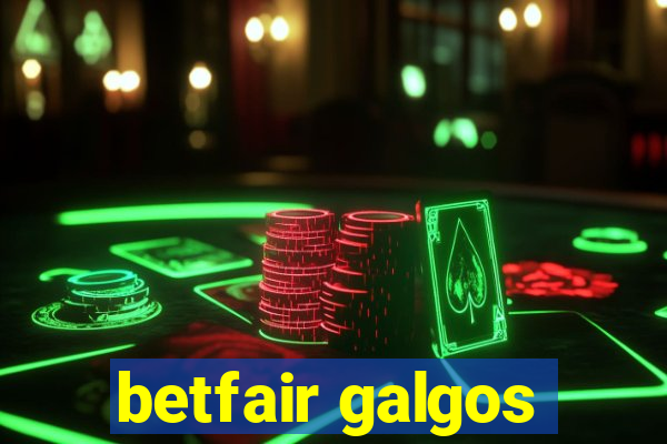 betfair galgos