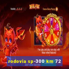 rodovia sp-300 km 72
