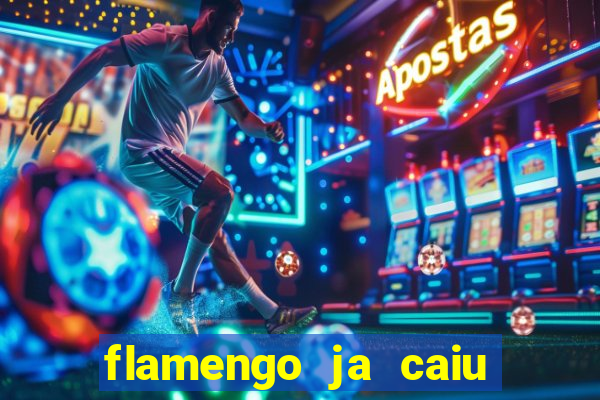 flamengo ja caiu para serie b