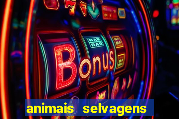 animais selvagens fotos e nomes