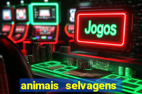 animais selvagens fotos e nomes