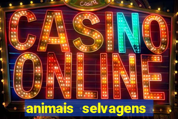 animais selvagens fotos e nomes