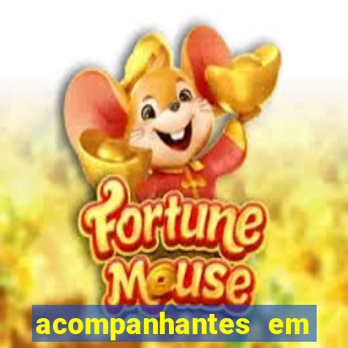 acompanhantes em porto belo