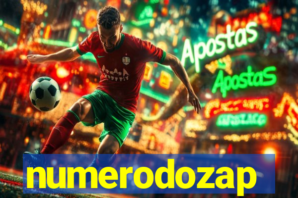 numerodozap